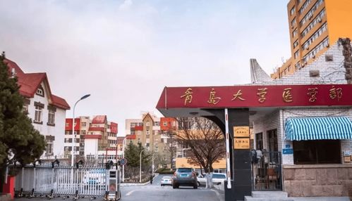 为什么都不建议上青岛大学(为什么都不建议上青岛大学呢)