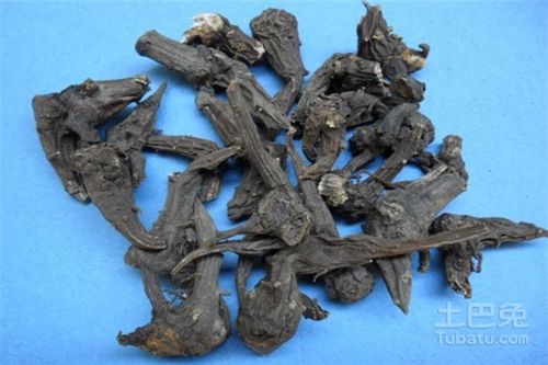 鸦胆子治疣的方法配方:鸦胆子,中药外敷治疣的有效方法与配方详解 鸦胆子治疣的方法配方:鸦胆子,中药外敷治疣的有效方法与配方详解