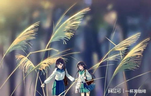 早已看透一切的星座:十二星座的人生下半场,看透后的通透智慧