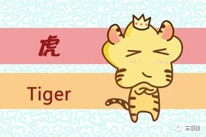 属虎今日运势:属虎今日运势解析,吉凶相伴,顺势而为的破局之道 属虎今日运势:属虎今日运势解析,吉凶相伴,顺势而为的破局之道