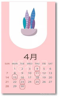 结婚登记黄道吉日2024：2024年结婚登记黄道吉日全解析，传统与现代的完美结合