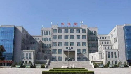 山东农业大学(山东农业大学是211还是985)