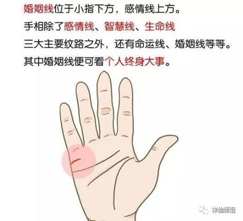 婚姻线图解:婚姻线图解,手相中的爱情密码与幸福指南