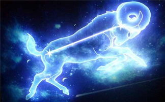 摩羯座女和什么星座最配:摩羯座女最佳配对星座TOP5,务实与深情的完美融合