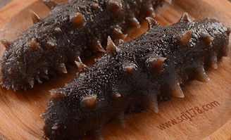 海参多少钱一斤2023年价格:2023年海参价格大揭秘,多少钱一斤?一文看懂!