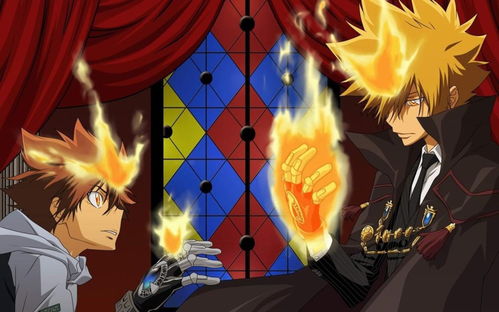 菲布力：菲布力，神秘与力量的交织