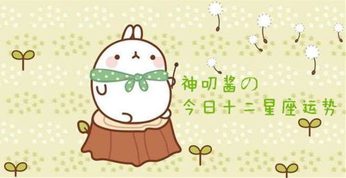 美国神婆网星座网:揭秘美国神婆网星座网,探索星座文化与现代占卜的奇妙世界