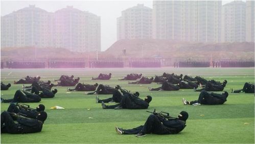 正规的中专学校(正规中专学校警察学校)