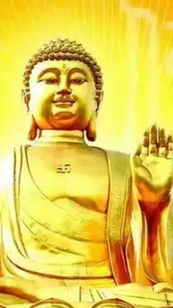 神佛促成的姻缘怎么写:神佛姻缘,一场不期而遇的命中注定