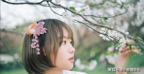 8月26日是什么星座女生:8月26日处女座的女生,理性与温柔的完美平衡者