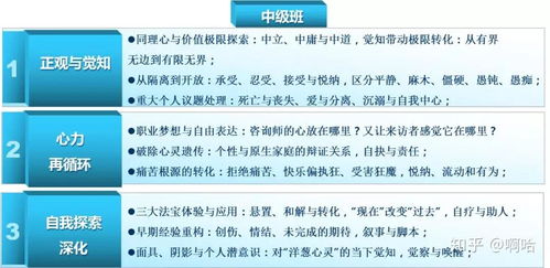 心里医生:心灵的守护者,心理医生如何帮助我们找回内在的平衡 心里医生:心灵的守护者,心理医生如何帮助我们找回内在的平衡