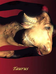 金牛座女厉害之处:金牛女的隐秘锋芒,被低估的五大核心优势与人生密码 金牛座女厉害之处:金牛女的隐秘锋芒,被低估的五大核心优势与人生密码