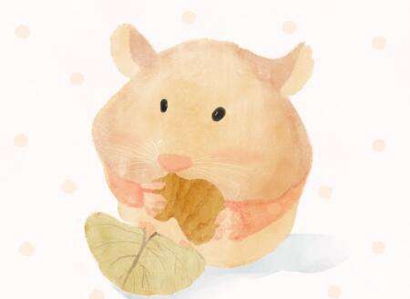 女鼠农历几月出生带财:女鼠农历几月出生带财?揭秘属鼠女性财富旺运的黄金月份