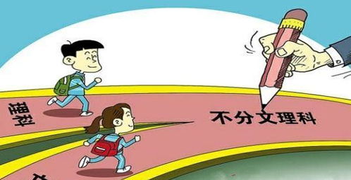 安职最厉害三个专业(安职就业前景最好的专业)