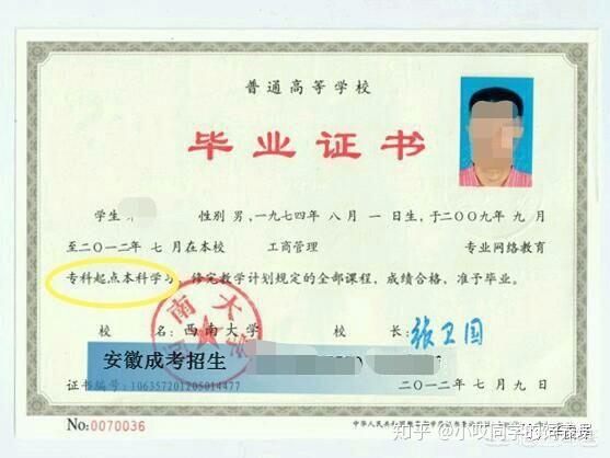 国际本科(国际本科和普通本科区别)