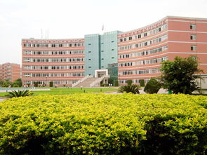 四川十大垃圾民办专科(四川民办专科排行榜)