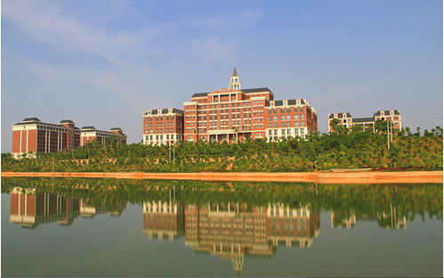 广州科技职业技术大学(广州科技职业技术大学英文)