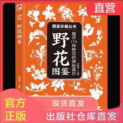 塔罗牌正版全套命运塔罗牌自营:揭开命运的神秘面纱,正版全套命运塔罗牌,开启你的专属占卜之旅!