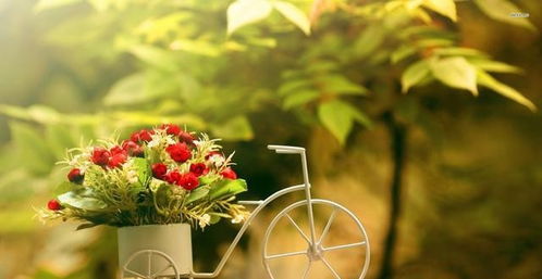 双鱼座近期感情运势:双鱼座近期感情运势,桃花渐浓,甜蜜与考验并存!