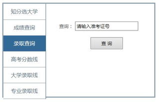 新疆招生网官网入口（新疆招生网官网入口2025年）