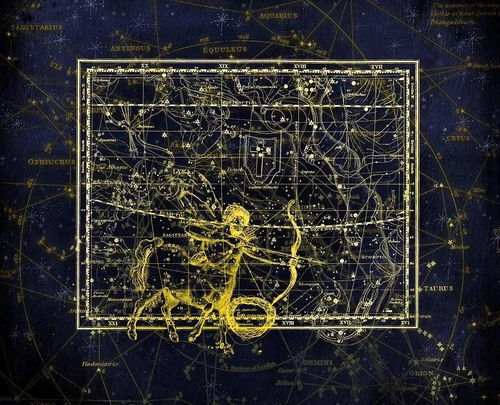 未来15天姻缘运势准吗:未来15天姻缘运势准吗?揭秘星座预测的科学与玄学