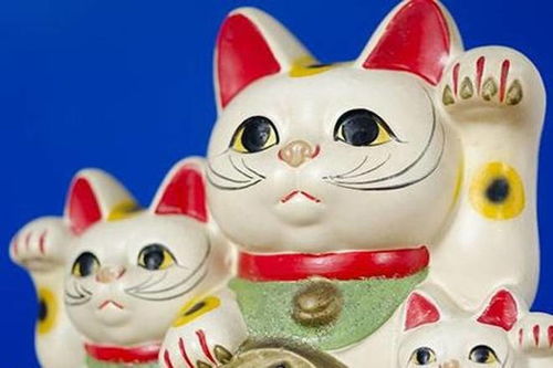 属虎人戴什么最旺:属虎人戴什么最旺?这五大吉祥物助你运势如虎添翼