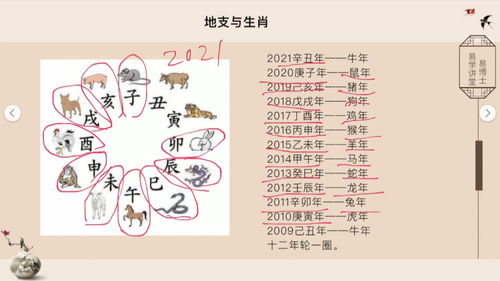 八字看配偶长相:八字看配偶长相,传统命理中的缘分密码与科学视角下的解读