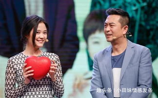 新啼笑姻缘下秀云结局:新啼笑姻缘,下秀云的结局,一场欢喜与泪水交织的终章