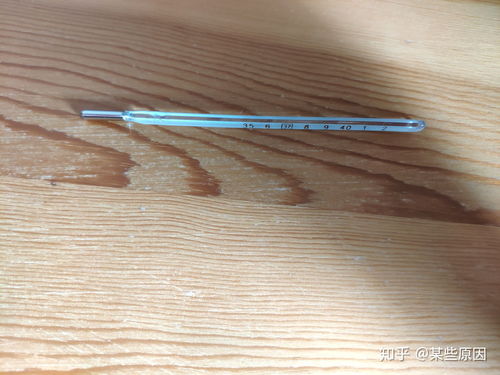 水银体温计怎么看：水银体温计使用指南，一看就会