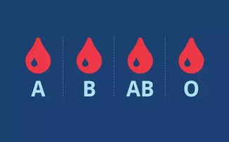 水瓶座哪个血型最聪明:水瓶座哪个血型最聪明?科学解码ABO血型与星座特质的完美契合 水瓶座哪个血型最聪明:水瓶座哪个血型最聪明?科学解码ABO血型与星座特质的完美契合