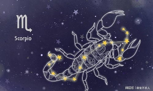 十二星座谁当班长:十二星座班长争夺战,谁才是天生的领导者和组织大师? 十二星座谁当班长:十二星座班长争夺战,谁才是天生的领导者和组织大师?