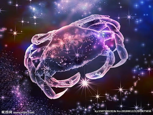 十二星座谁当班长:十二星座班长争夺战,谁才是天生的领导者和组织大师? 十二星座谁当班长:十二星座班长争夺战,谁才是天生的领导者和组织大师?