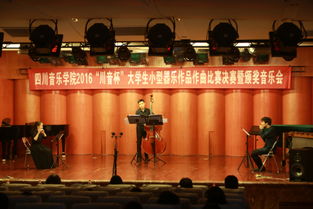 四川音乐学院（四川音乐学院明星）