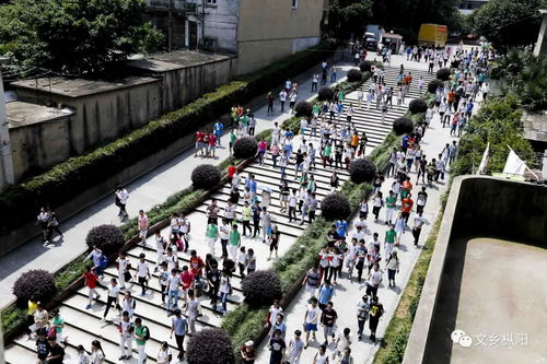 河南省中招考生服务平台入口(河南省中招考生服务 平台) 河南省中招考生服务平台入口(河南省中招考生服务 平台)