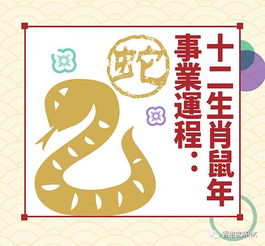 2020年十二生肖运程:2020年十二生肖吉凶全解析,鼠年运势指南与趋吉避凶秘籍 2020年十二生肖运程:2020年十二生肖吉凶全解析,鼠年运势指南与趋吉避凶秘籍