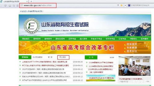 高考招生报名信息网(高考招生考试报名网)