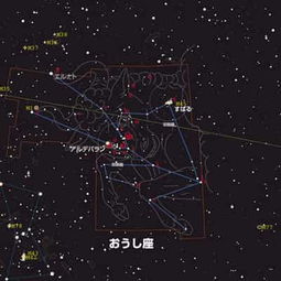 紫微星座每日运程查询：紫微星动，运势全知，你的每日紫微星座运程查询指南