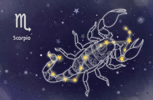 天秤座寿命是多少：星座与寿命的真相，天秤座真的能活到90+吗？