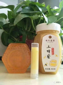 螺旋藻骗局:揭秘!市场上令人误解的螺旋藻真相