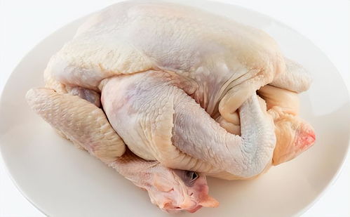 梦见吃鸡肉什么预兆:梦见吃鸡肉什么预兆 梦见吃鸡肉什么预兆:梦见吃鸡肉什么预兆