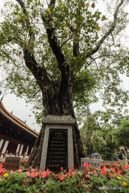 求姻缘应该去什么寺庙拜:揭秘,求姻缘应该去什么寺庙拜?