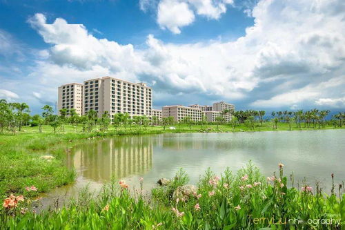 广东450分的公办大学(广东450分的公办大学美术)