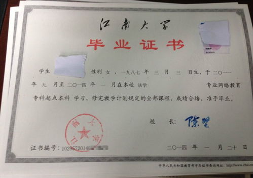 艺术类大专有必要上吗(艺术类大专有必要上吗女生)