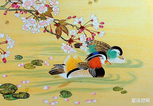 我想学最基础的姻缘知识:从零开始,掌握幸福婚姻的基础知识