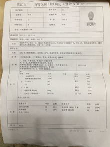 急性肠胃炎吃什么药好:急性肠胃炎吃什么药好?对症下药缓解不适