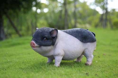 猪的最佳配偶是属什么:猪的完美婚配生肖揭秘,与谁结合最和谐? 猪的最佳配偶是属什么:猪的完美婚配生肖揭秘,与谁结合最和谐?