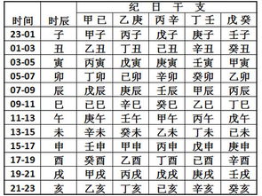 生辰决定人的命运:生辰密码,从命理学到科学视角解读命运轨迹