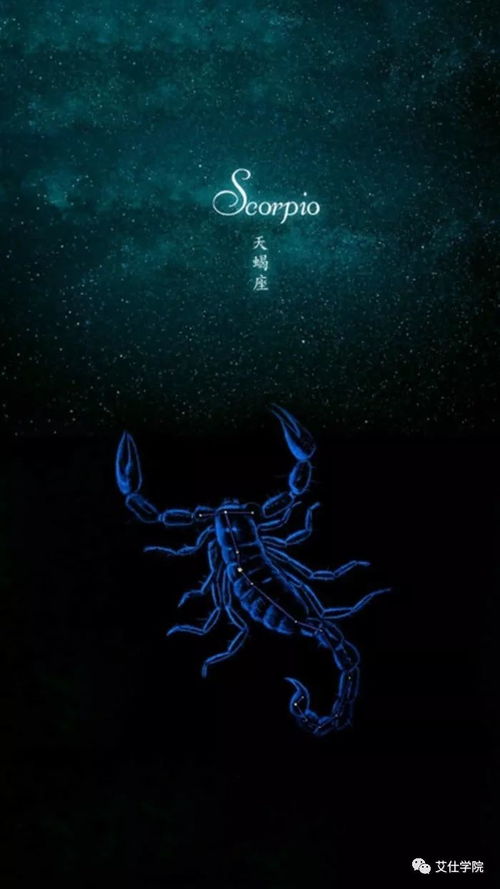 11月6日天蝎座优缺点:天蝎座(11月6日-11月22日)神秘与力量的双面人生