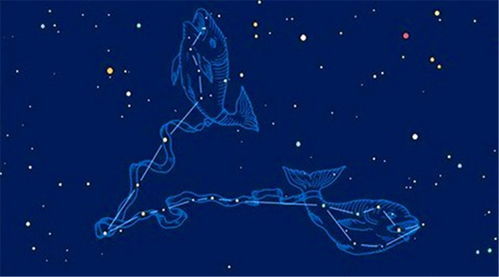 天蝎座是几月份:天蝎座是几月份?10月23日至11月21日,神秘与力量的星座解析 天蝎座是几月份:天蝎座是几月份?10月23日至11月21日,神秘与力量的星座解析