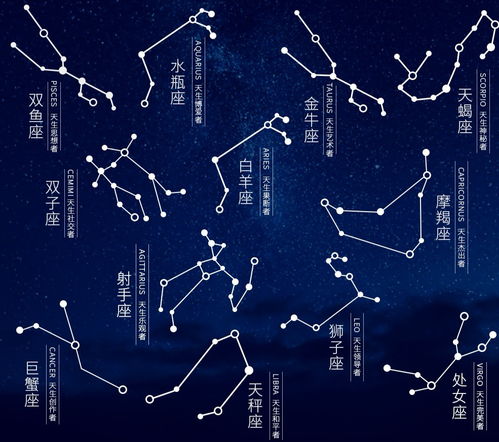 12星座运势每日查询:今日12星座运势全解析,每日一查,运势全掌握! 12星座运势每日查询:今日12星座运势全解析,每日一查,运势全掌握!